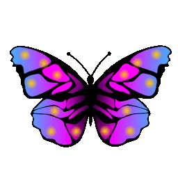 butterfly-4437_256